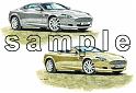 Aston Martin DB9 & Volante